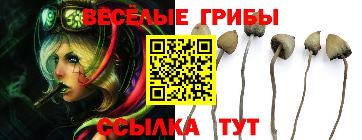 Псилоцибиновые грибы Magic Shrooms  Вход с VPN  Грозный 