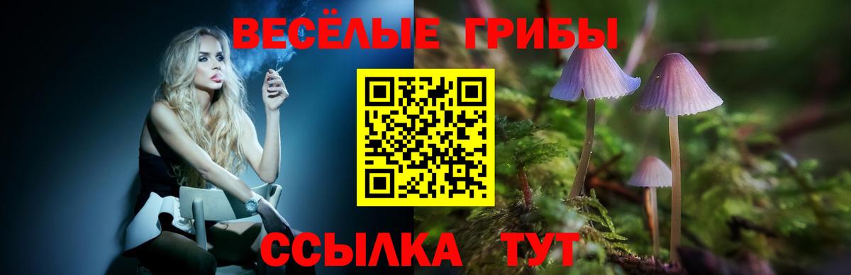 Псилоцибиновые грибы MAGIC MUSHROOMS Грозный