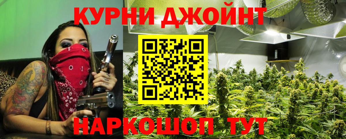 Грозный  Шишки марихуана OG Kush  Конопля OG Kush  Вход с VPN  Бошки Шишки планчик  Марихуана SATIVA & INDICA 